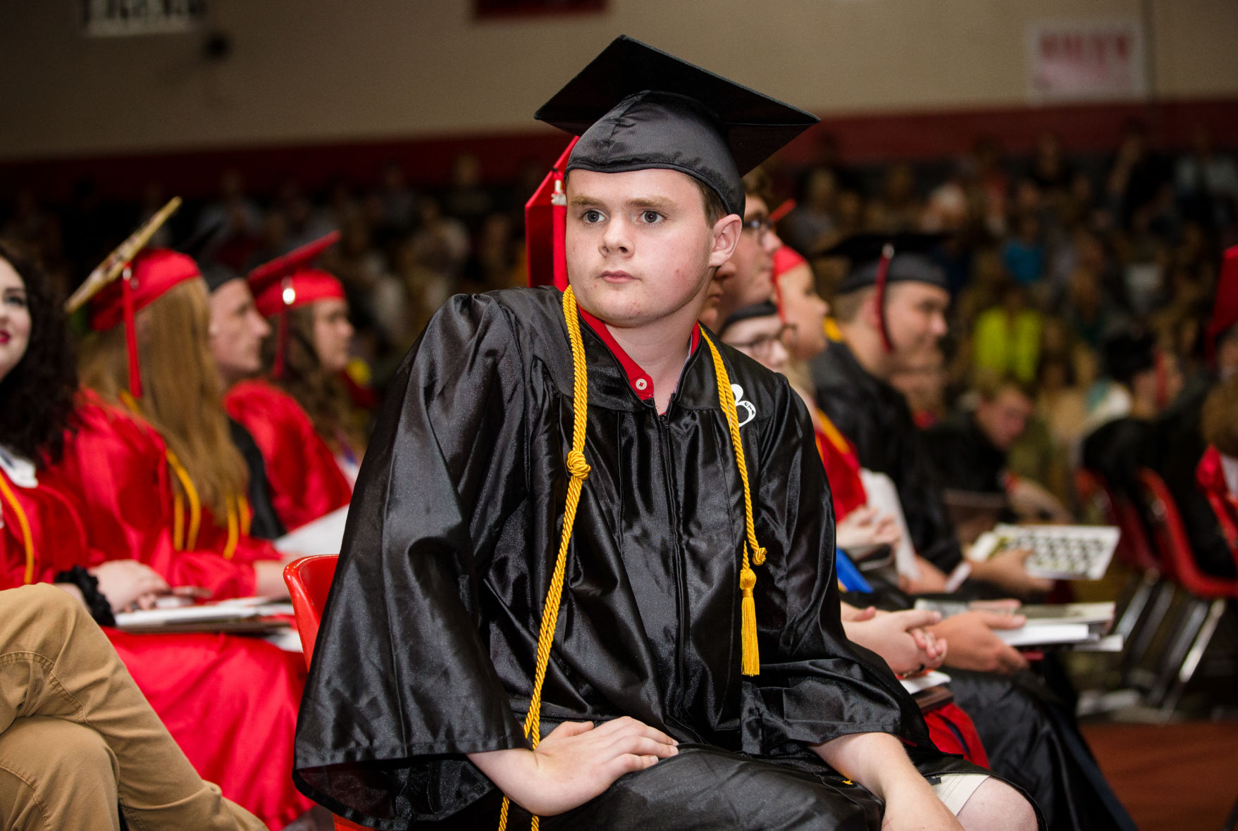 2019 0530 waynegrad